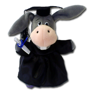 Graduation Donkey