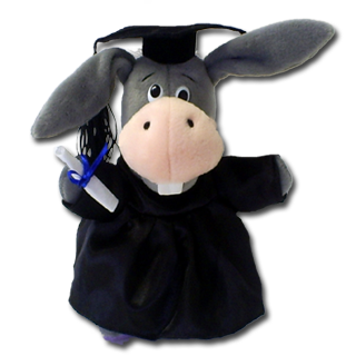 Graduation Donkey